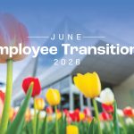 P1 - Employee Transitions CC Connected graphics 1920x10808